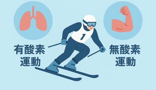 アルペンスキー競技で有酸素運動必要？無酸素運動とどっちが大事か？を科学と経験両方で解説